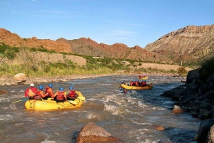 Mendoza: Rafting-eventyr på en halv dag