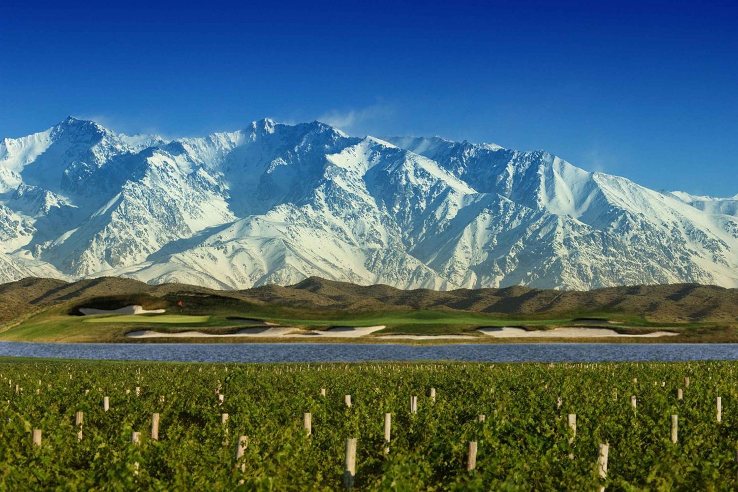 Mendoza: Half-Day Wine Tour with Tastings and Lunch