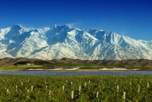 Mendoza: Excursão de vinhos de meio dia com degustações e almoço