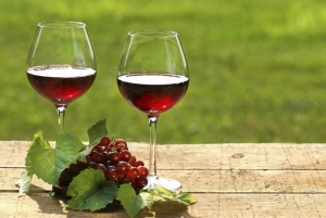 Mendoza: Half-Day Wine Tour with Tastings and Lunch