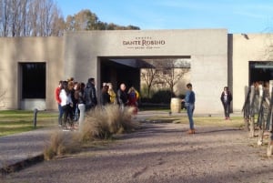 Mendoza: Halvdagstur med vinsmagninger