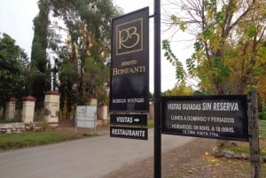 Mendoza: półdniowa wycieczka po winach z degustacjami