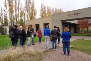 Mendoza: Excursión de medio día con degustación de vinos