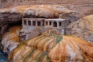 Mendoza: Tour privato con guida sulle Ande alte