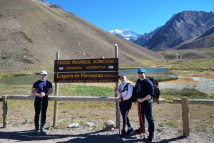 Mendoza: Tur till Aconcagua-parken och höga berg med grillning