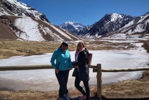 Mendoza: High Mountain og Aconcagua Park Tour med BBQ
