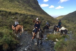 Mendoza: Wandern in der Quebrada del Cóndor mit atemberaubenden Aussichten