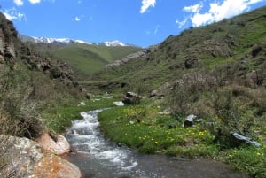 Mendoza: Vandring i Quebrada del Cóndor med betagende udsigt