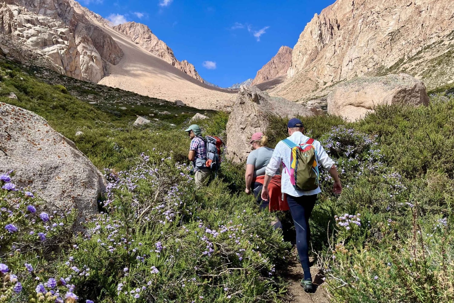 Mendoza: wędrówki, medytacja i joga w Andach z lunchem