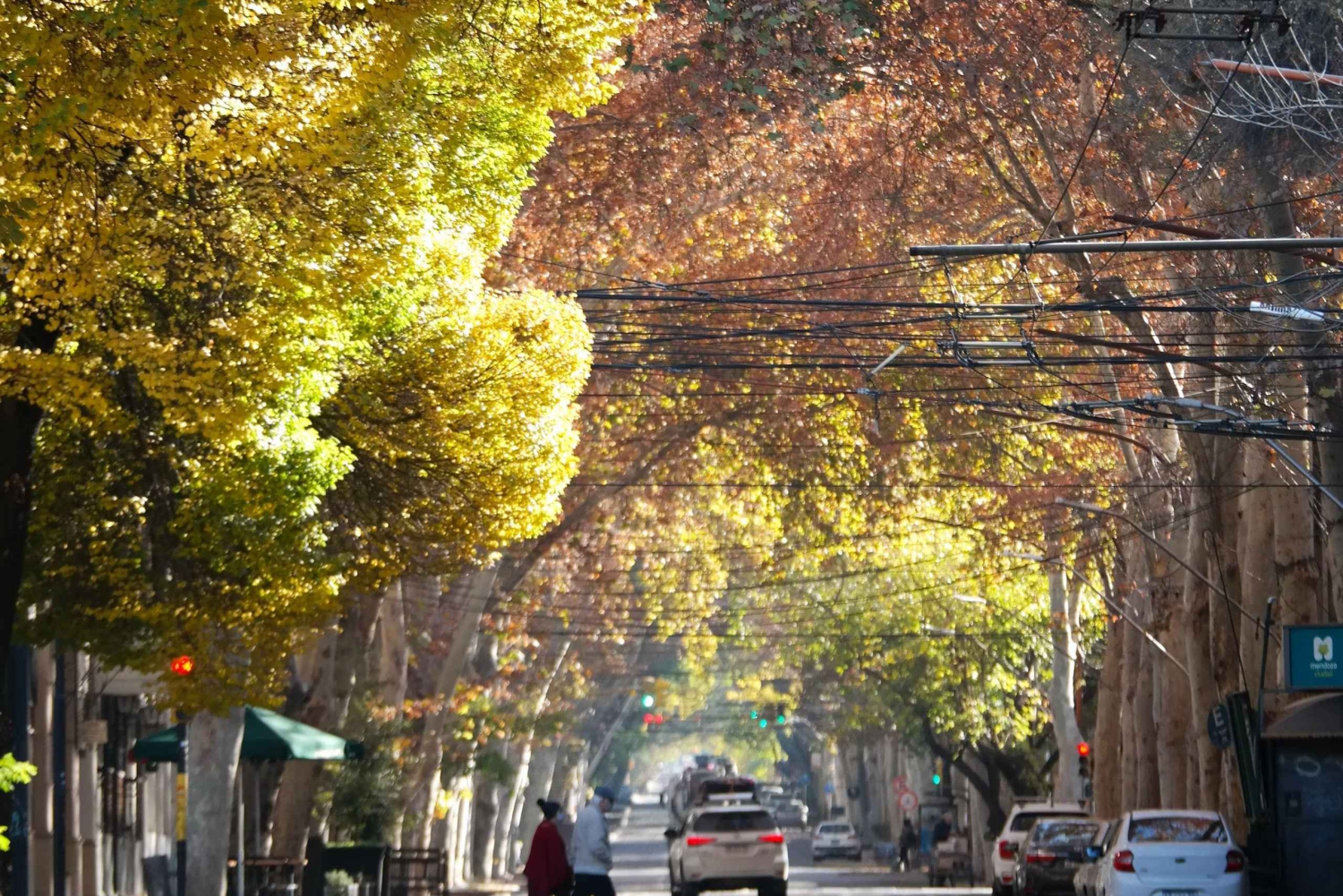 Mendoza: Historisk byvandring