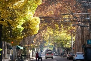Mendoza: Historical City Walking Tour