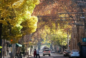 Mendoza : visite à pied de la ville historique