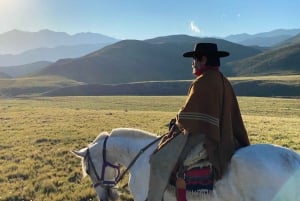 Fra Mendoza: Ridetur i Andesfjellene med autentisk grillmat