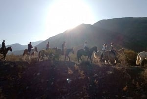 Mendoza : balade à cheval dans les Andes avec barbecue authentique