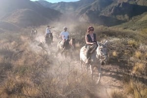 Fra Mendoza: Ridetur i Andesfjellene med autentisk grillmat