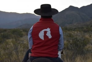 Mendoza: Passeio a Cavalo nos Andes com Churrasco
