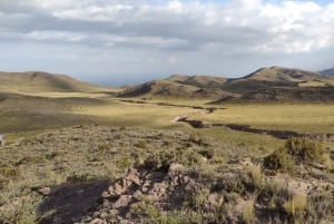 Mendoza: Ridetur i Andesbjergene med autentisk BBQ