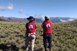 Mendoza: Ridtur i Anderna med autentisk grillmåltid