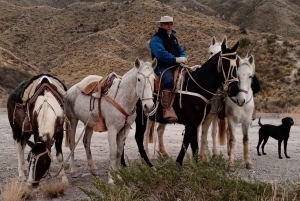 Mendoza: Horseback Riding in the Andes with Authentic BBQ