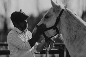 Mendoza: equitazione nelle Ande con grigliata