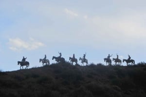 Mendoza: paardrijden in de Andes met authentieke BBQ
