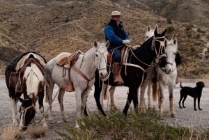 Mendoza: equitazione nelle Ande con grigliata