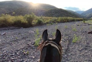 Mendoza: Horseback Riding in the Andes with Authentic BBQ