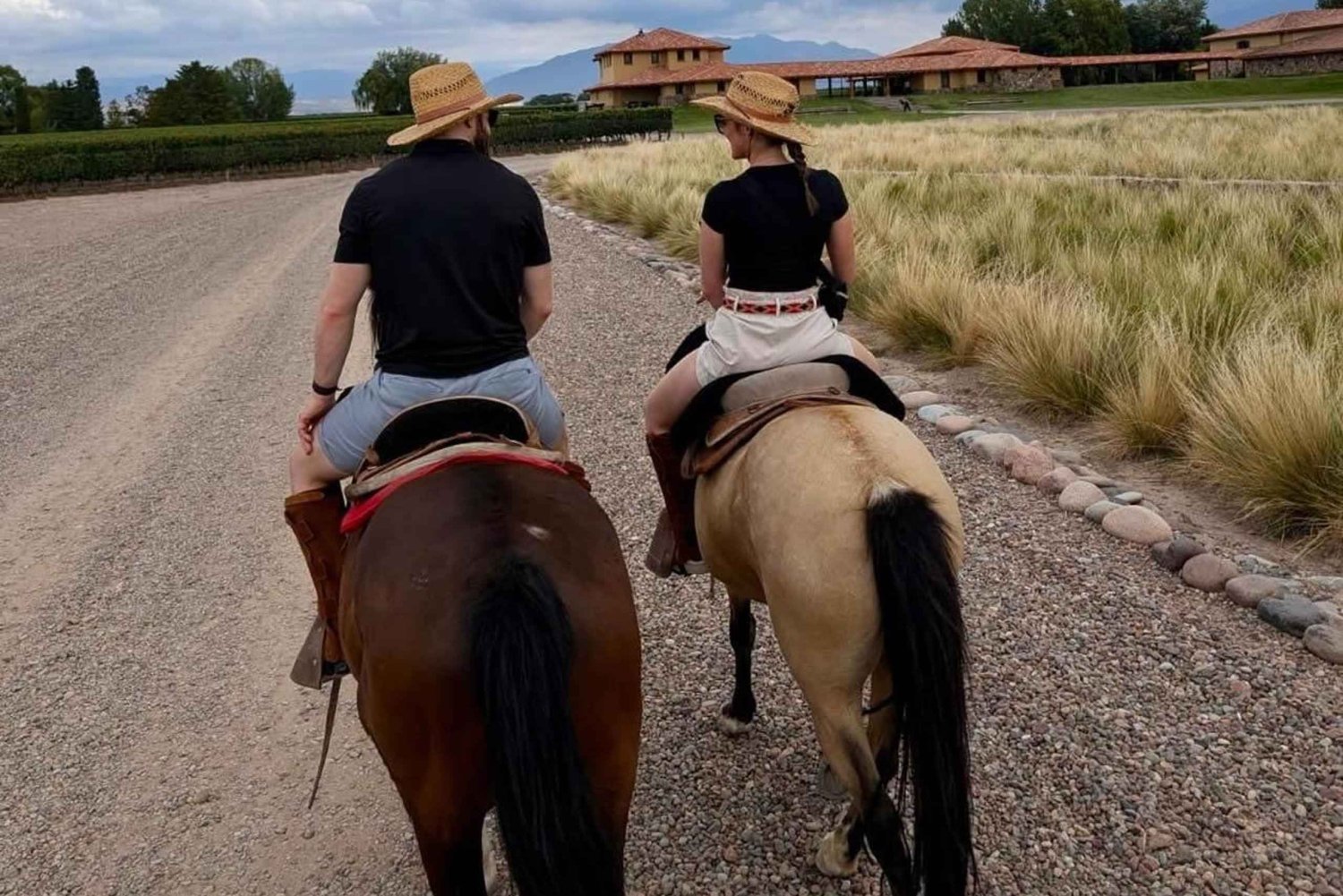 Mendoza: Paseo a caballo por los viñedos y cata