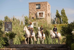 Mendoza: Horseriding, Winery Tour with Tasting & Lunch