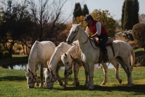 Mendoza: Horseriding, Winery Tour with Tasting & Lunch