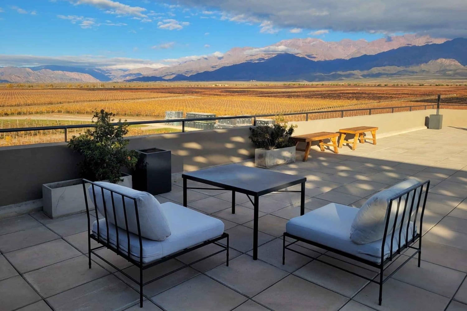 Mendoza på en dag, guidet tur, olivenplantage, vingård, bjerg, San Martin-parken