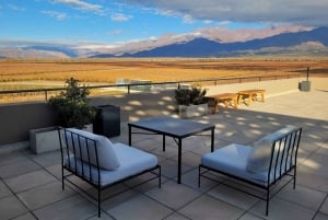 Mendoza på en dag, guidet tur, olivenplantage, vingård, bjerg, San Martin-parken