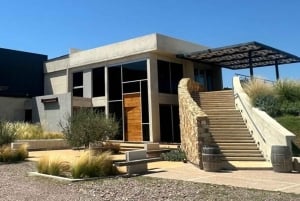 Mendoza på en dag, guidet tur, olivenplantage, vingård, bjerg, San Martin-parken