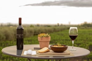 Mendoza: In the Heart of Vineyards and Olive Trees