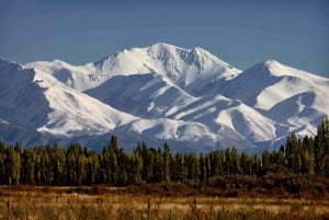 Mendoza: In the Heart of Vineyards and Olive Trees