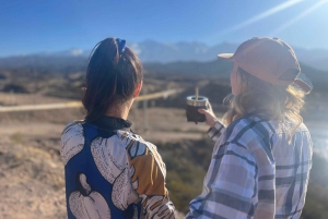 Mendoza: InBuddies - Mountain Road Experience