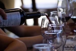 Mendoza: Weinkellertour in Luján de Cuyo