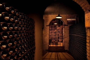 Mendoza: Weinkellertour in Luján de Cuyo