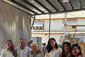 Mendoza: Weinkellertour in Luján de Cuyo