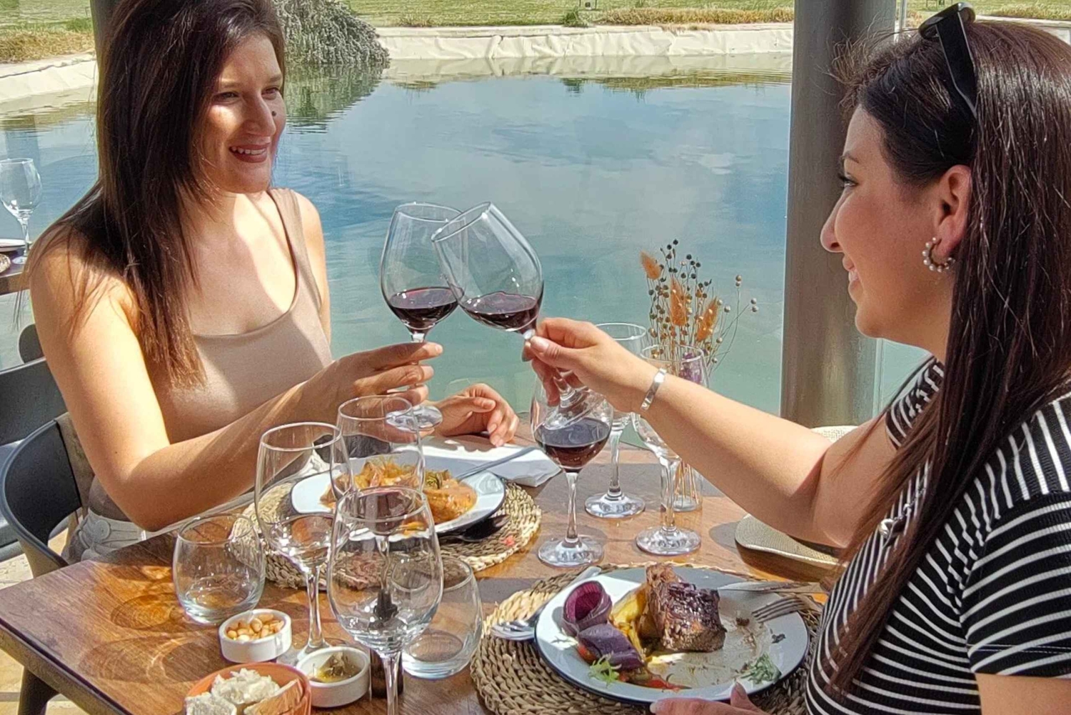 Mendoza - Maipú: Premium winery tour + olive grove in private service