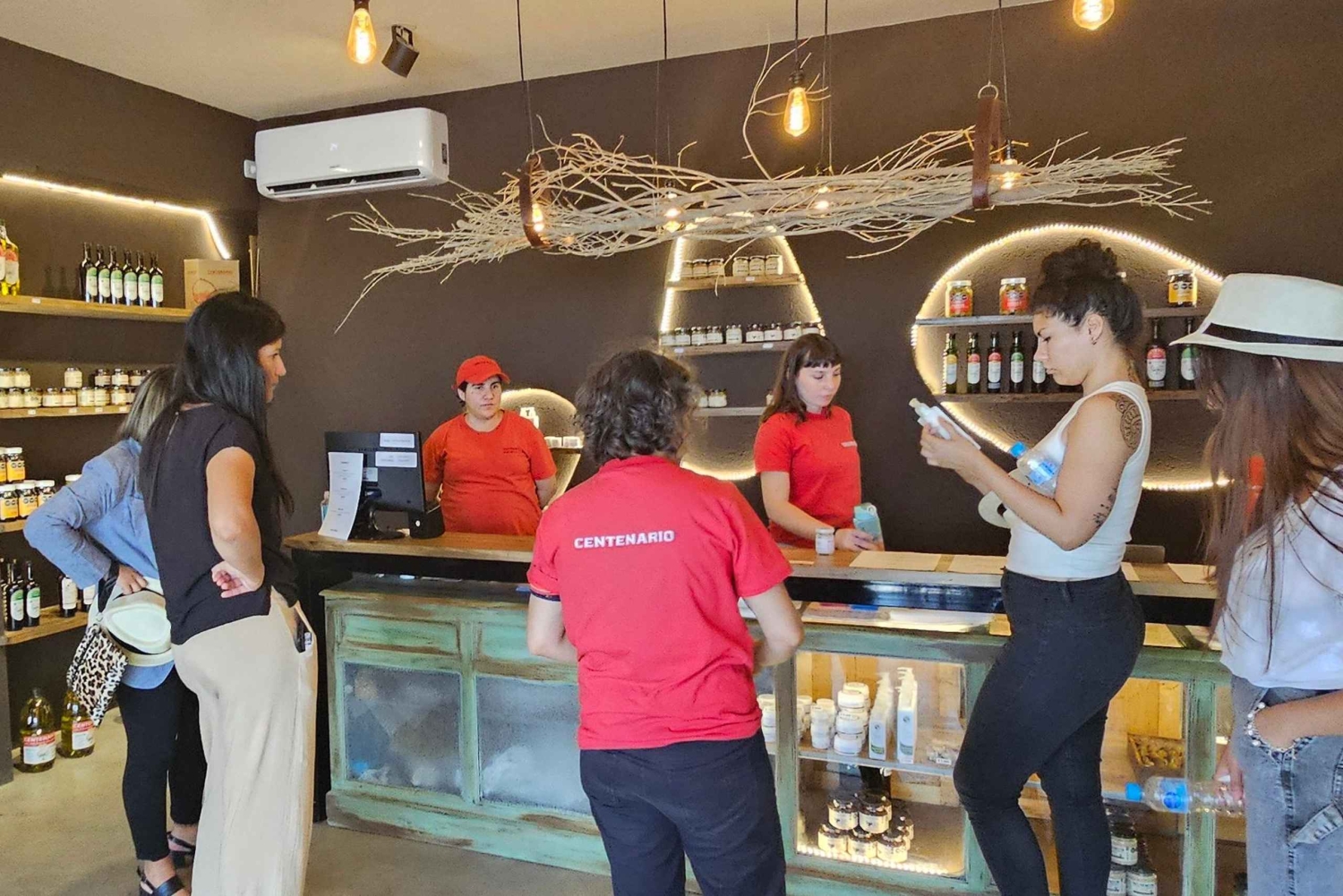 Mendoza - Maipú: Premium winery tour + olive grove in private service