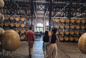Mendoza - Maipú: Premium winery tour + olive grove in private service