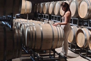 Mendoza - Maipú: Premium winery tour + olive grove in private service