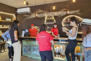 Mendoza - Maipú: Premium winery tour + olive grove in private service