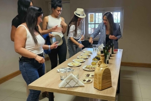 Mendoza - Maipú: Premium winery tour + olive grove in private service