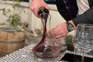 Mendoza: Mach ein argentinisches Asado mit einem Einheimischen und probiere Malbec