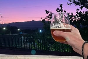 Mendoza: Mach ein argentinisches Asado mit einem Einheimischen und probiere Malbec