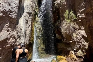 Mendoza: Trekking in den Bergen und Mittagessen in einem Weingut