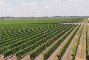 Mendoza: Trekking in den Bergen und Mittagessen in einem Weingut