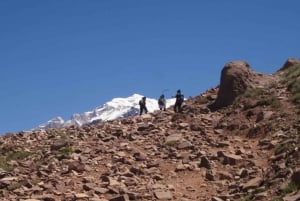 Mendoza: Mt. Aconcagua Confluencia Camp Trekking